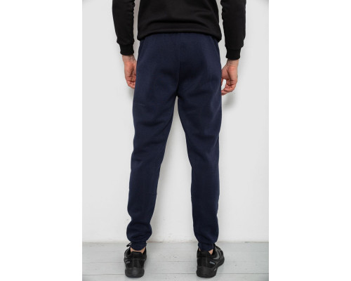 Спортивні штани чоловічі на флісі, колір синій, 244R41553