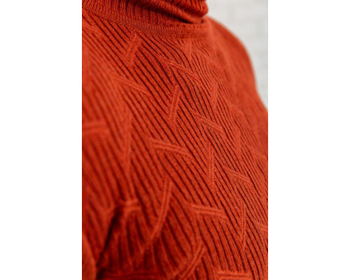 Светр-гольф чоловічий, колір теракотовий, 161R892