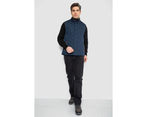 Жилетка чоловіча демісезонна, колір темно-синій, 244RM5