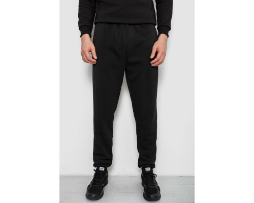 Спортивні штани чоловічі на флісі, колір чорний, 244R41526