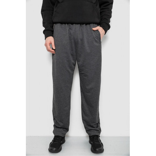 Спортивные штаны мужские, цвет серый, 244R41399