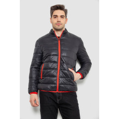 Куртка мужская демисезонная 244R616, цвет Черный