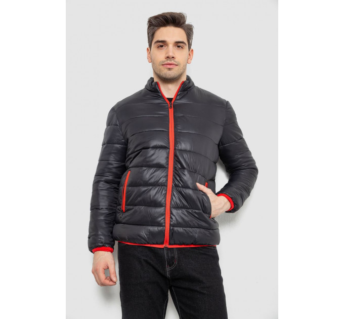 Куртка мужская демисезонная 244R616, цвет Черный