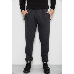 Спортивные штаны мужские на флисе, цвет серый, 244R41748