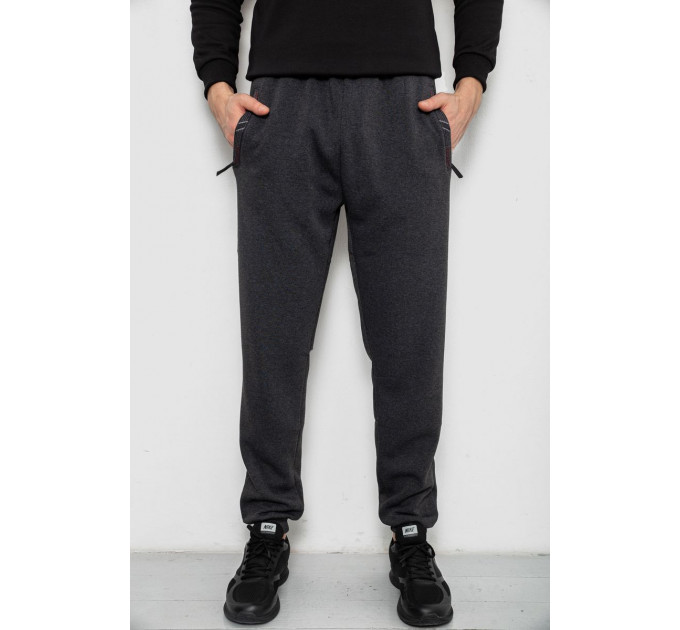 Спортивные штаны мужские на флисе, цвет серый, 244R41748