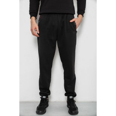 Спортивные штаны мужские на флисе, цвет черный, 244R41748