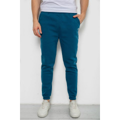 Спортивные штаны мужские на флисе, цвет изумрудный, 238R57256