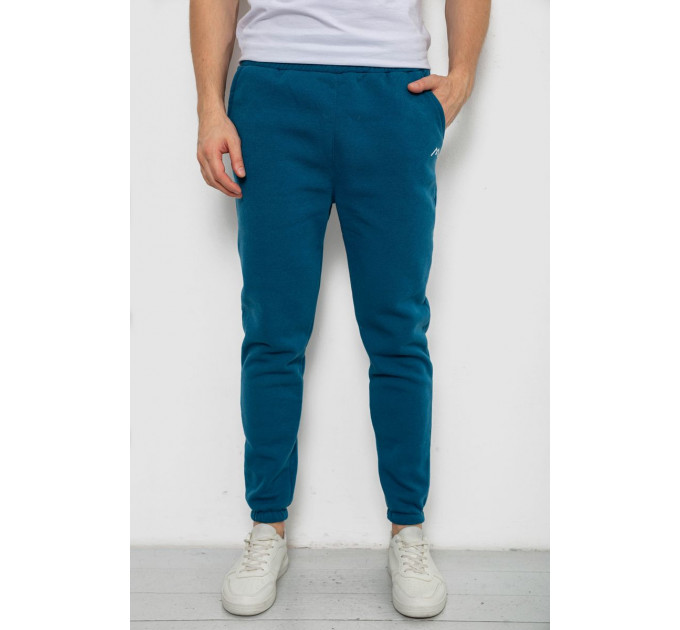 Спортивные штаны мужские на флисе, цвет изумрудный, 238R57256