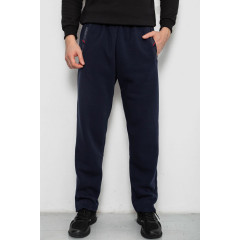 Спортивные штаны мужские на флисе, цвет синий, 244R41753