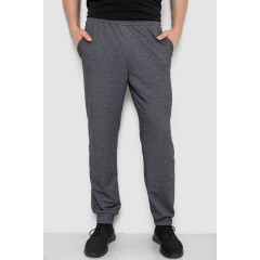 Спортивные штаны мужские, цвет темно-серый, 238R122-1