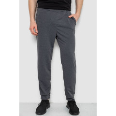 Спортивные штаны мужские, цвет серый, 238R122