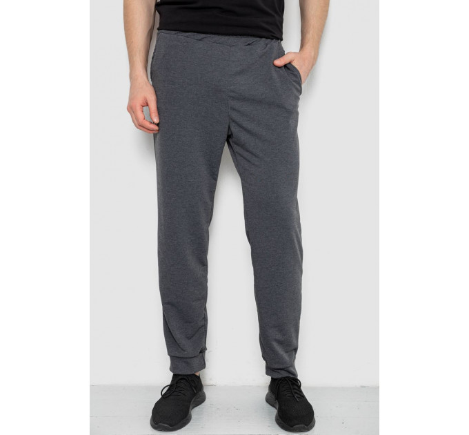 Спортивные штаны мужские, цвет серый, 238R122