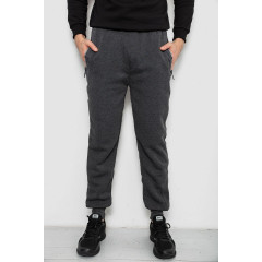 Спортивные штаны мужские на флисе, цвет серый, 244R6120