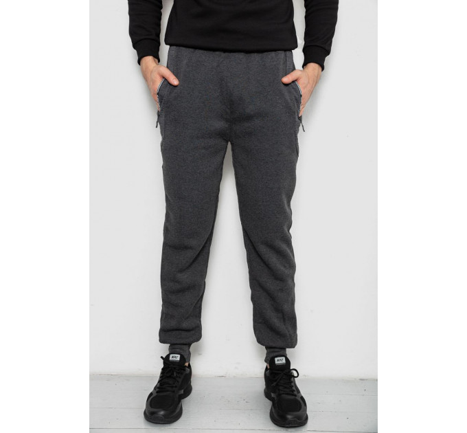 Спортивные штаны мужские на флисе, цвет серый, 244R6120
