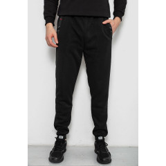 Спортивные штаны мужские на флисе, цвет черный, 244R41553