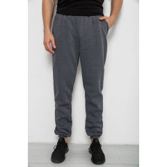 Спортивные штаны мужские на флисе, цвет серый, 238R58629
