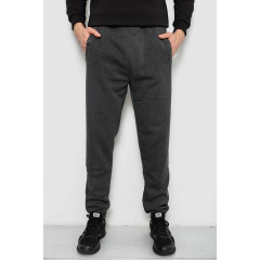 Спортивные штаны мужские на флисе, цвет серый, 244R41553