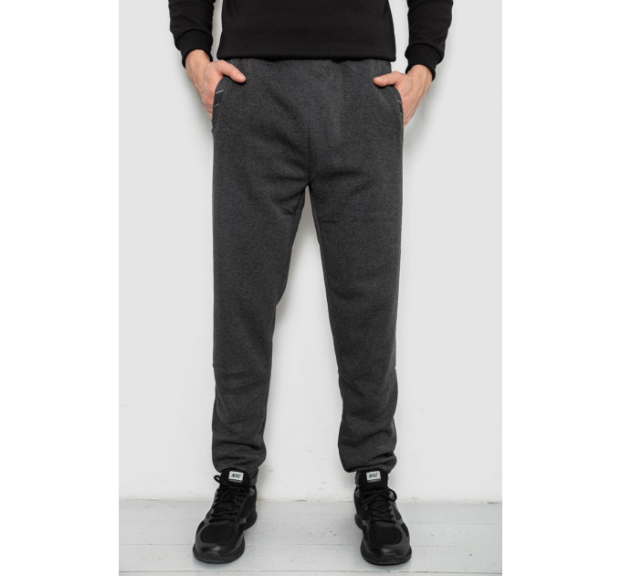 Спортивные штаны мужские на флисе, цвет серый, 244R41553
