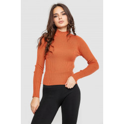 Водолазка женская в рубчик, цвет терракотовый, 214R91306