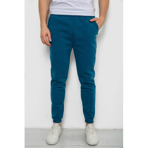 Спортивные штаны мужские на флисе, цвет изумрудный, 238R57256
