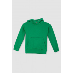 Спортивный костюм детский на флисе, цвет зеленый, 102R1520