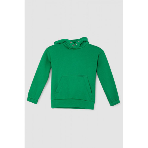 Спортивный костюм детский на флисе, цвет зеленый, 102R1520